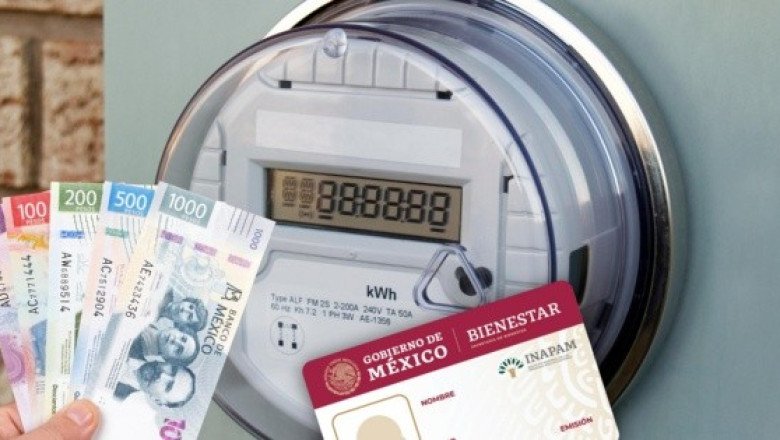 ¿Se puede obtener descuento en el recibo de luz con la tarjeta del Inapam?