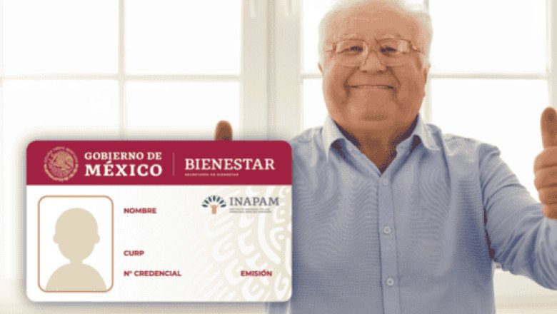 Inapam: ¿En qué consiste el programa de Vinculación Productiva?