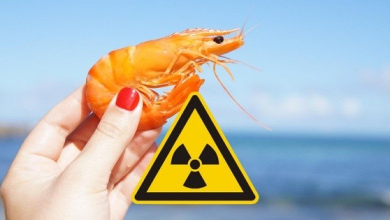 EU desaconseja consumir camarón congelado de Indonesia, ¿por radioactivo?