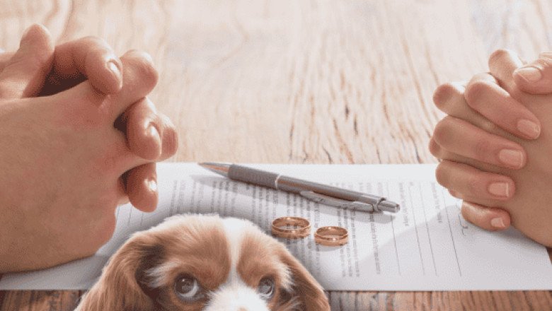 TODO sobre la reforma en materia de divorcios y mascotas en CDMX