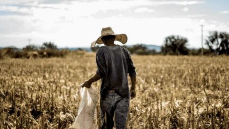 Aumento del calor afecta "gravemente" la salud de los trabajadores: ONU