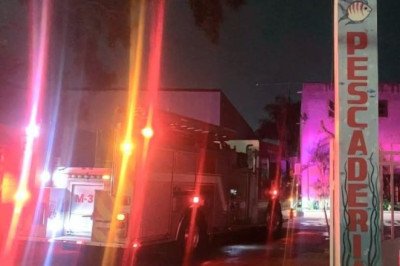 Lanzan bomba molotov contra pescadería durante la madrugada