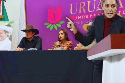 ¿Cómo apoyará el gobierno de Sheinbaum a Grecia Quiroz?