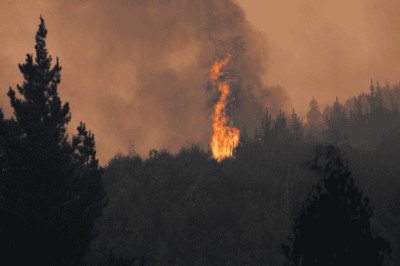 Suben a 20 las víctimas por incendios en el sur de Chile
