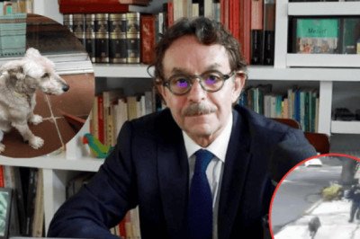 Revelan nuevo VIDEO del ataque al perro de Gabriel Quadri que fue asesinado