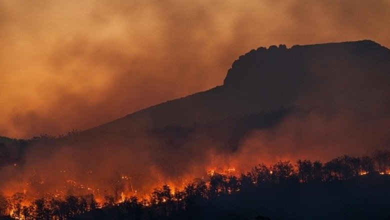 Cambio climático triplicó la probabilidad de megaincendios en Chile