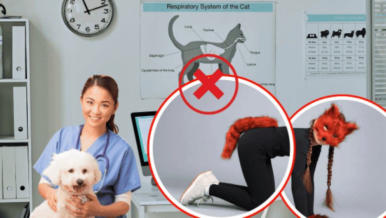 Therian: persona que se identifica como "perro" acude al veterinario por "moquillo"