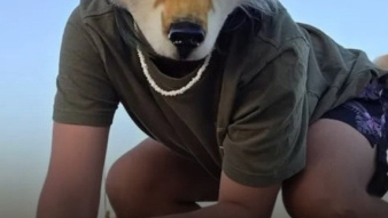 Los Therians: la identidad animal que gana visibilidad en redes y en la vida real