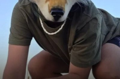 Los Therians: la identidad animal que gana visibilidad en redes y en la vida real