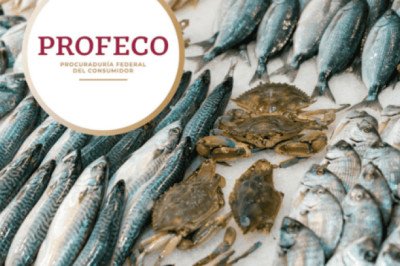 Profeco revela la clave para elegir mariscos frescos y evitar riesgos en Cuaresma
