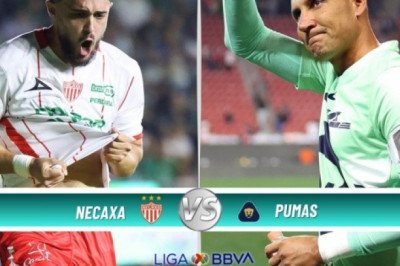 ¿Dónde ver EN VIVO el partido de J10 Necaxa vs Pumas?