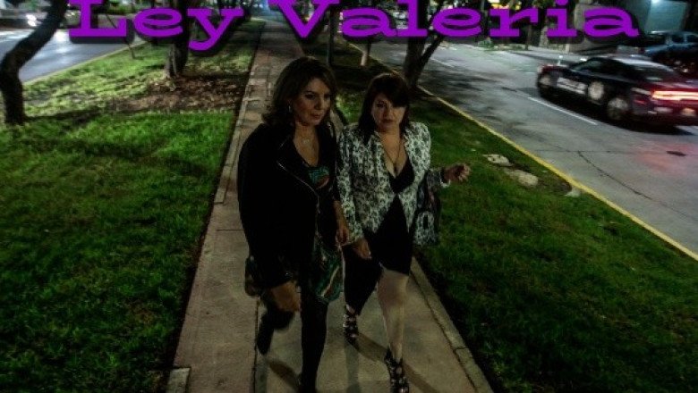 Todo lo que debes saber sobre la Ley Valeria