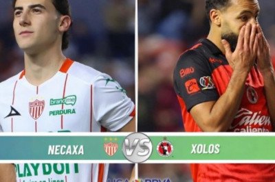 ¿Dónde ver EN VIVO el partido de J12 Necaxa vs Xolos?