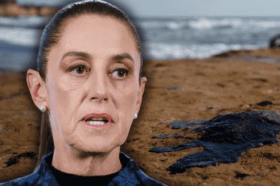Playas del golfo de México ya están "limpias", afirma Sheinbaum