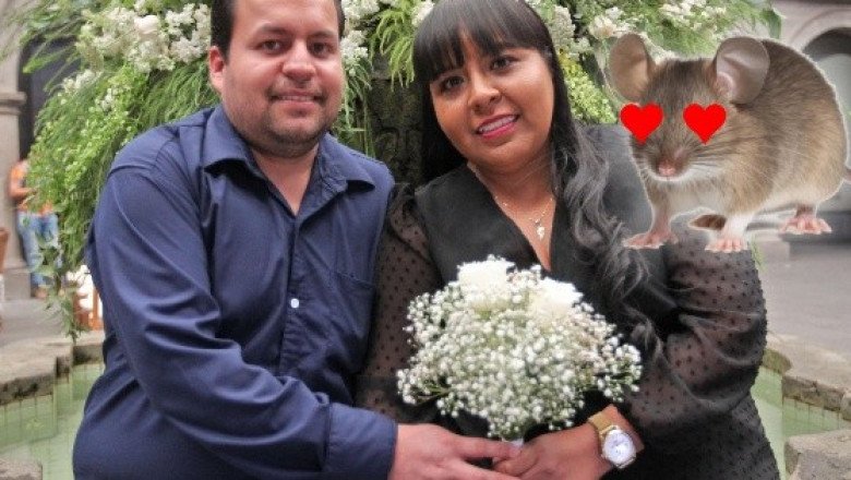 El animal que es más monógamo que los humanos