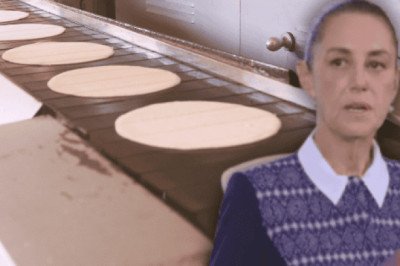 Sheinbaum descarta que la tortilla suba de precio