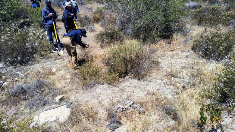 Localizan restos oséos en el Cerro de San Carlos