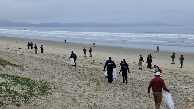 Personal naval realiza limpieza de playas en conmemoración del Día Mundial del Medio Ambiente