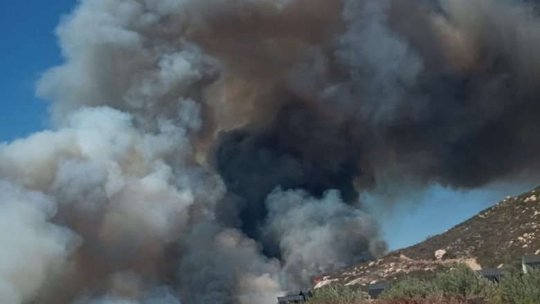 Combate Bomberos incendio forestal en El Porvenir