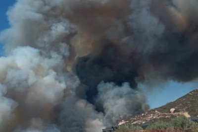 Combate Bomberos incendio forestal en El Porvenir