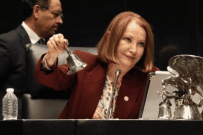 Laura Itzel Castillo, la próxima titular de la Secretaría de las Mujeres