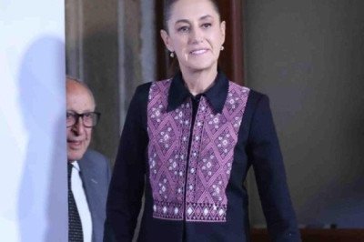 "Yo recibo a muchas madres buscadoras": Sheinbaum tras la visita del pato Merlín