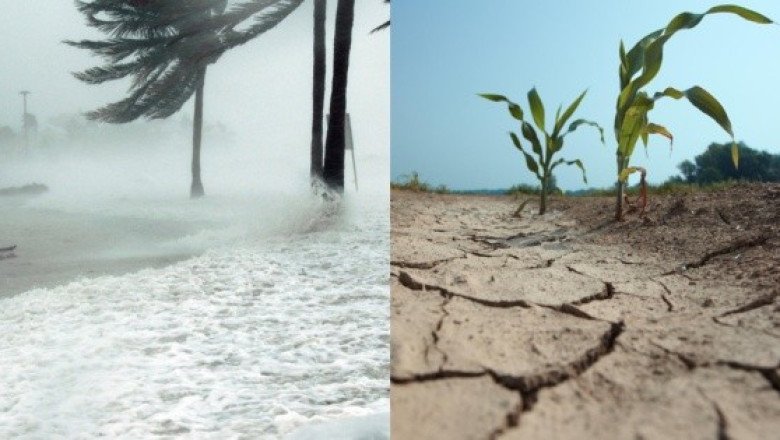 ¿Cómo afectará el fenómeno "El Niño" muy fuerte a México?