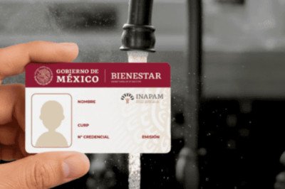 INAPAM tiene descuentos en estos estados para el pago de agua y predial