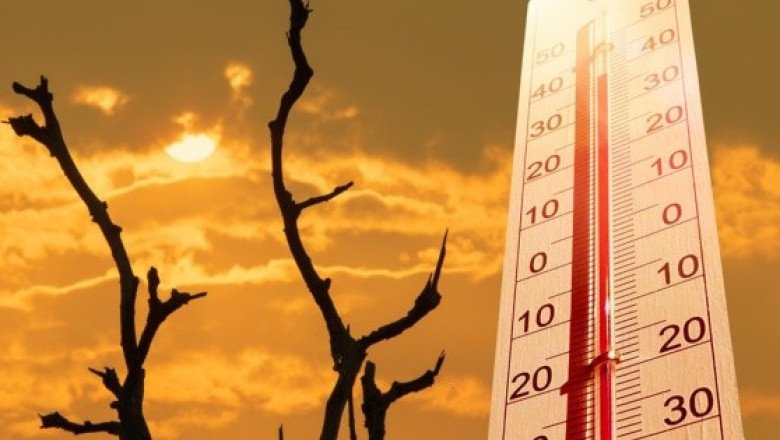 Prevén que "El Niño" alcance niveles fuertes durante el otoño
