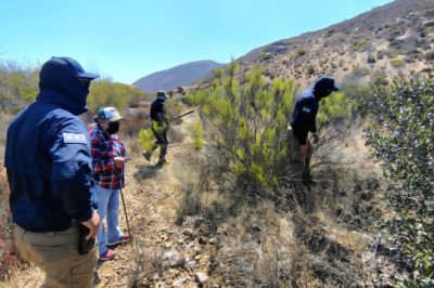 Realizan un operativo conjunto de búsqueda en la delegación de Punta Colonet