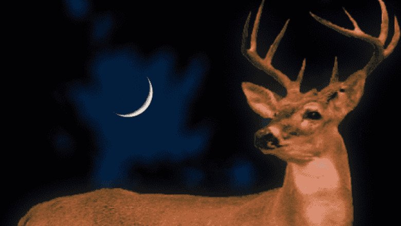 Luna de Ciervo 2026: cuándo y a qué hora podrá verse en México