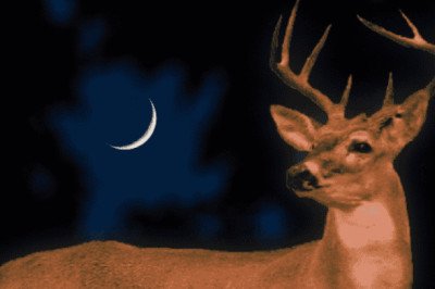 Luna de Ciervo 2026: cuándo y a qué hora podrá verse en México