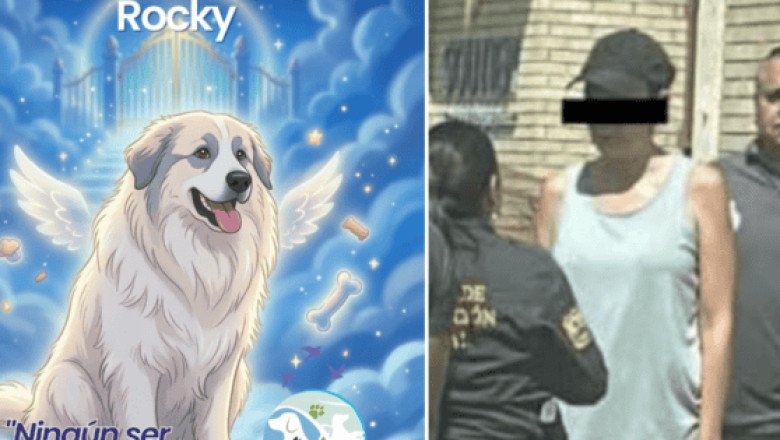 Detienen a Liliana “N” tras la muerte del perrito Rocky en Saltillo, Coahuila