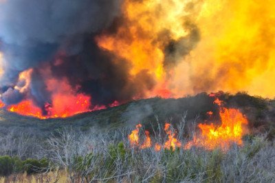 Avanza control de incendio forestal en el Valle de la Trinidad