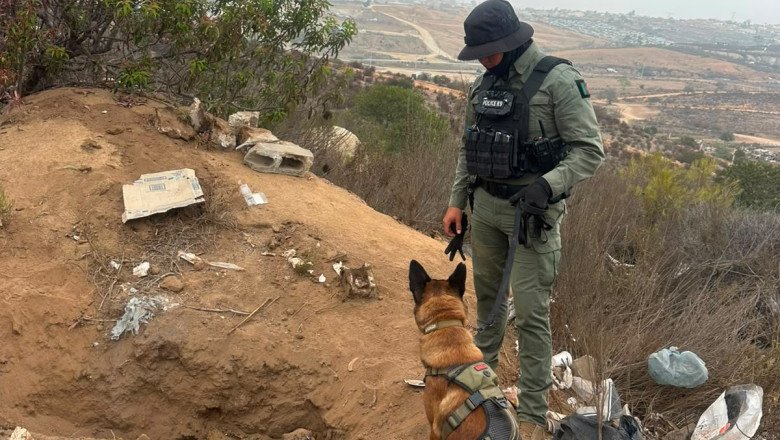 Binomio canino de la DSPM localiza restos óseos