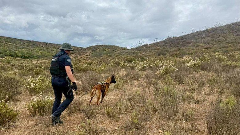 Destaca binomio canino Gaythor con 20 hallazgos durante labores de búsqueda