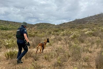 Destaca binomio canino Gaythor con 20 hallazgos durante labores de búsqueda