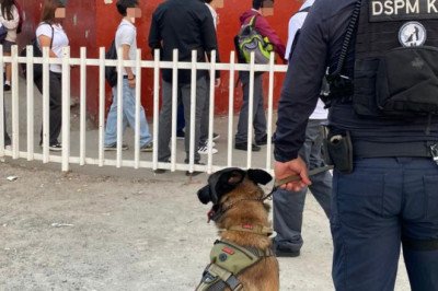 Realiza la DSPM filtro aleatorio preventivo de revisión en CBTis 41