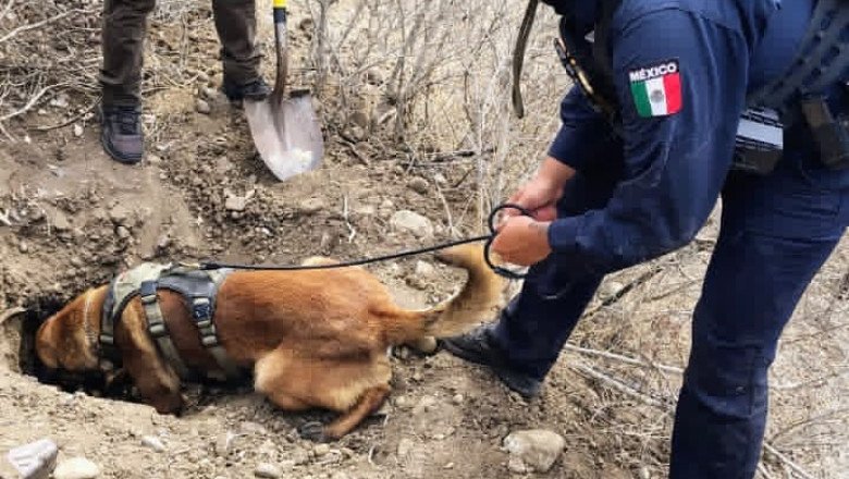 Fueron localizados tres puntos con restos óseos de posible origen humano