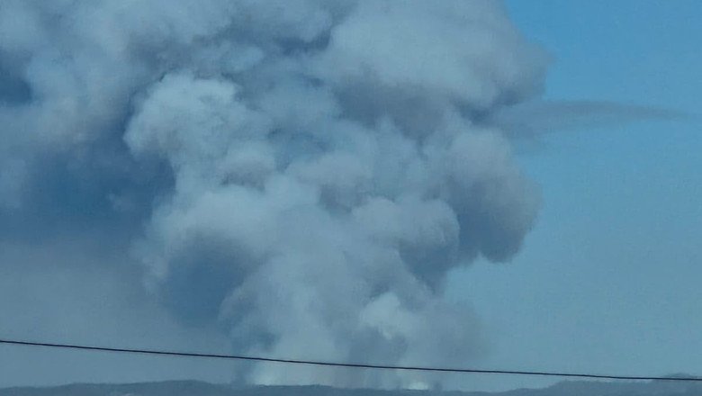 Se mantiene operativo coordinado para combatir incendio forestal Sierra de Juárez