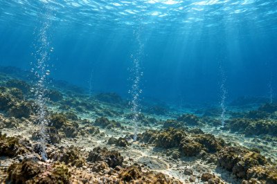 Fumarolas submarinas: ¿por qué brotan burbujas del fondo del mar?