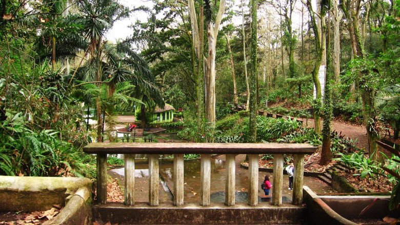 Los Tecajetes, el parque de Xalapa donde todavía brota agua de manantial